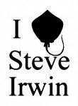 SteveIrvin.jpg