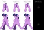 2.png