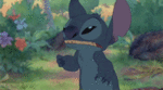 351.gif
