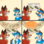 213.png