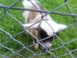 IMG_20170528_172531.jpg