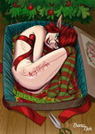 NickEronic-764162-Pleasant_surprise_on_Christmas.jpg