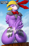 97.png
