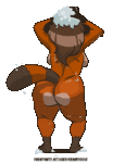 13.gif