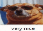 very-nice-dog-meme[1].gif