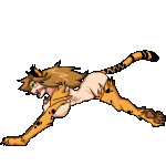 run.gif
