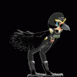 black_02.gif