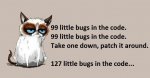 99_Bugs_in_the_Code.jpg
