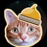 Bestythecat