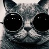 A Cat w/ Glasses
