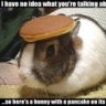 BunnyLove