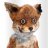 StonedFox